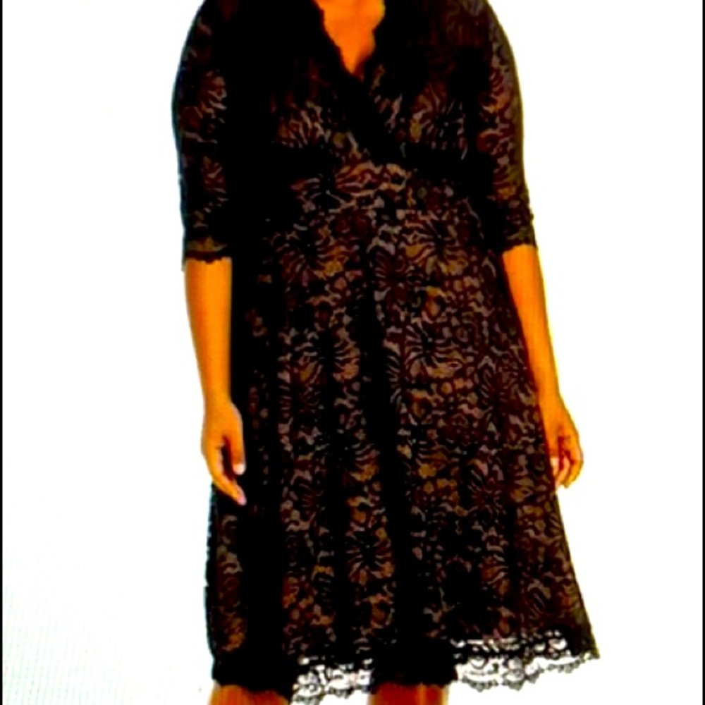 Kiyonna Mademoiselle Lace A-Line Dress Size 2X